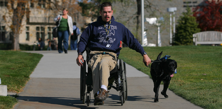 Student in wheelchair with assistance dogs