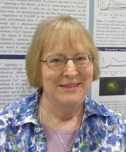 Photo of Katherine Wall, Ph.D.